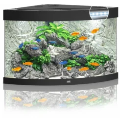 Juwel Aquarium Trigon 190 Led 70x70x60 Cm - Aquaria