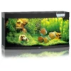 Juwel Aquarium Vision 260 Led 121x46x64 Cm - Aquaria