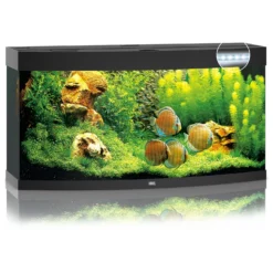 Juwel Aquarium Vision 260 Led 121x46x64 Cm - Aquaria