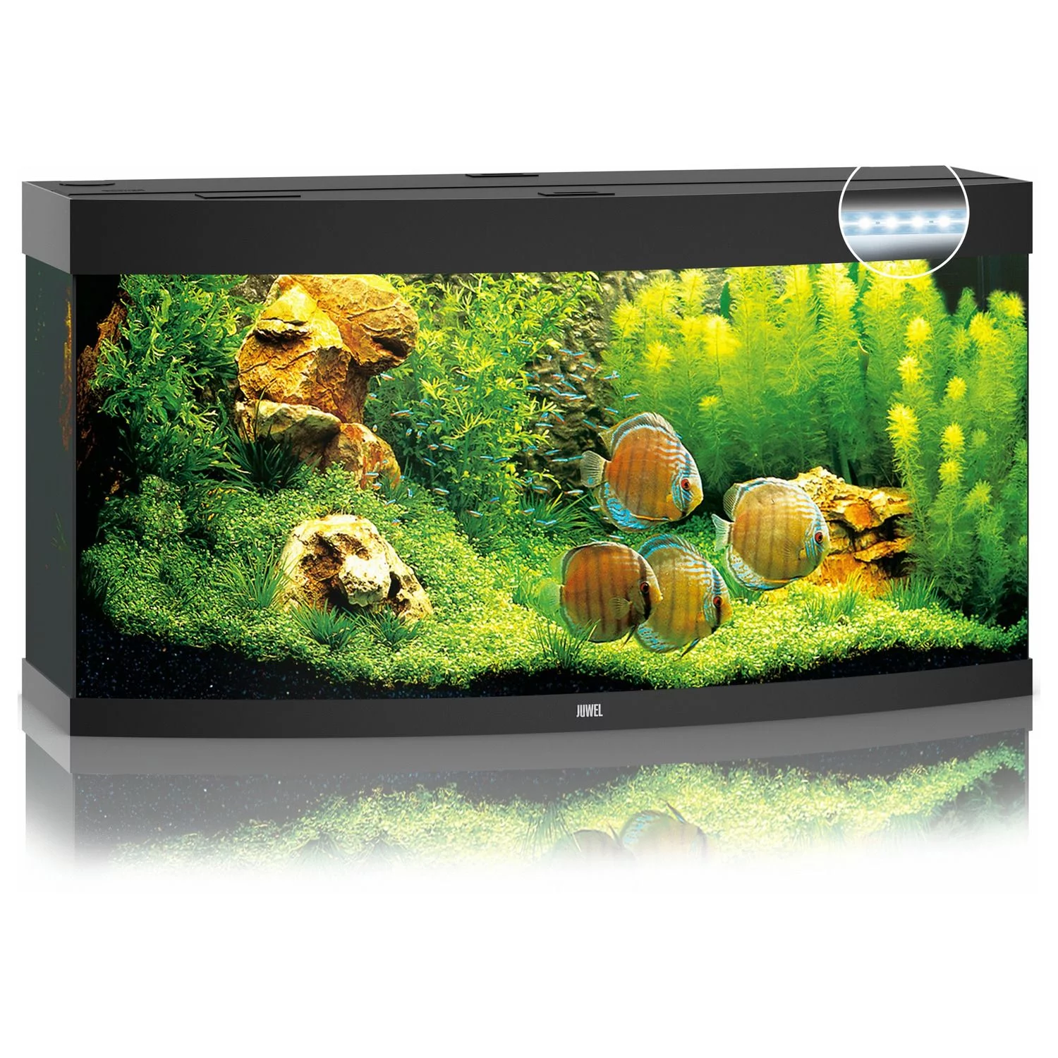 Juwel Aquarium Vision 260 Led 121x46x64 Cm - Aquaria