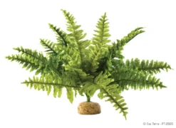 Exo Terra Rainforest Plant Boston Fern - Kunstplanten