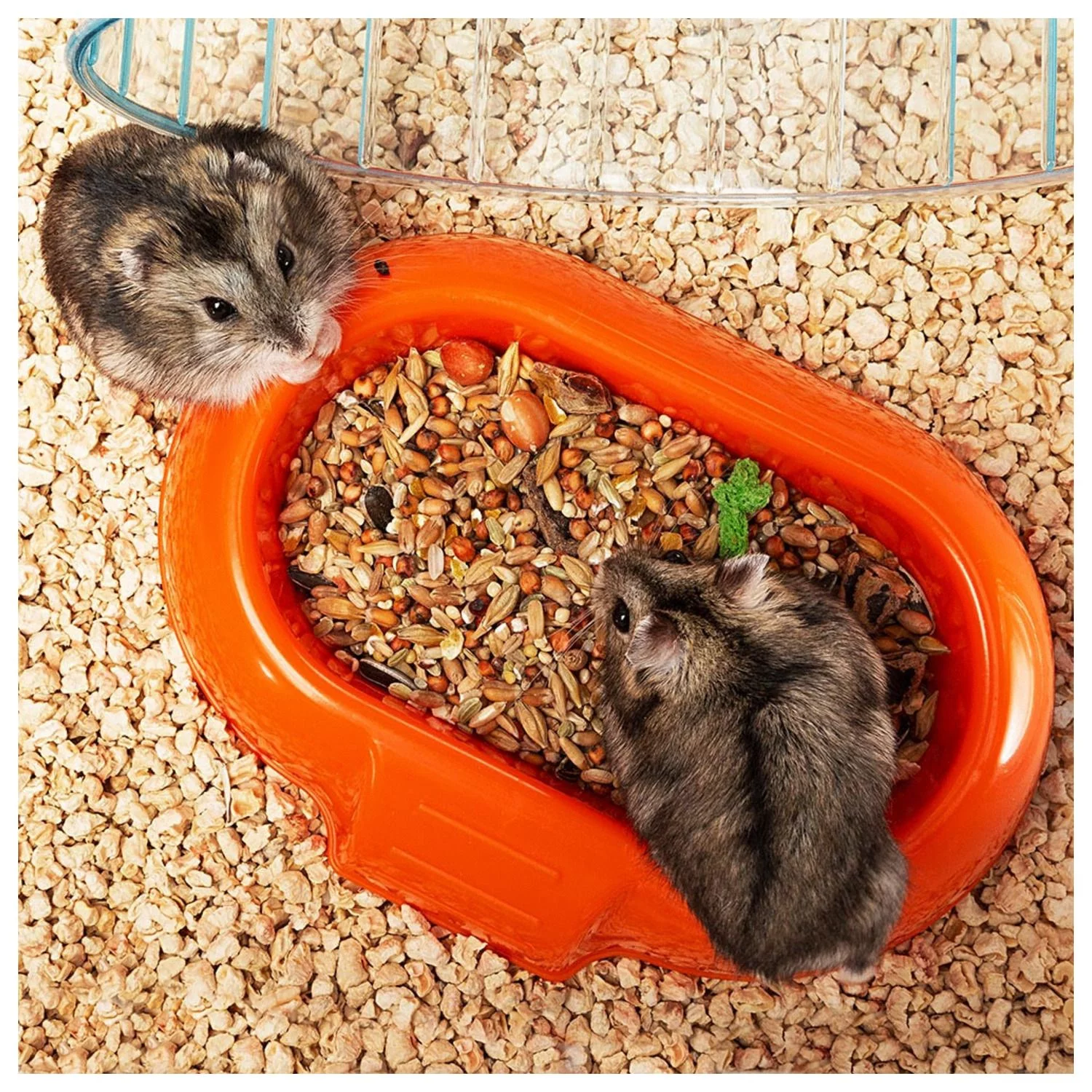 Ferplast Hamsterkooi Combi 1 - Dierenverblijf - 40.5x29.5x22.5 Cm Wit - Image 5