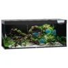Juwel Aquarium Rio 450 Led - Aquaria