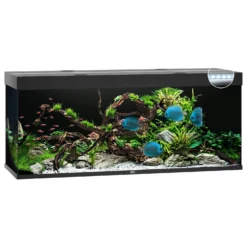 Juwel Aquarium Rio 450 Led - Aquaria