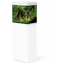 Oase Styleline 85 Aquarium 50x36x42 Cm - Aquaria