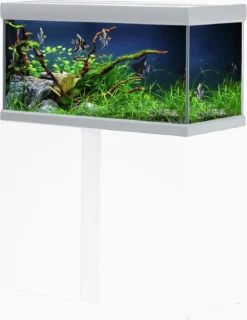 Akvastabil Fusion Aquarium 80 - Aquaria - 80x40x49 Cm Zilver Wit Ca. 144 L