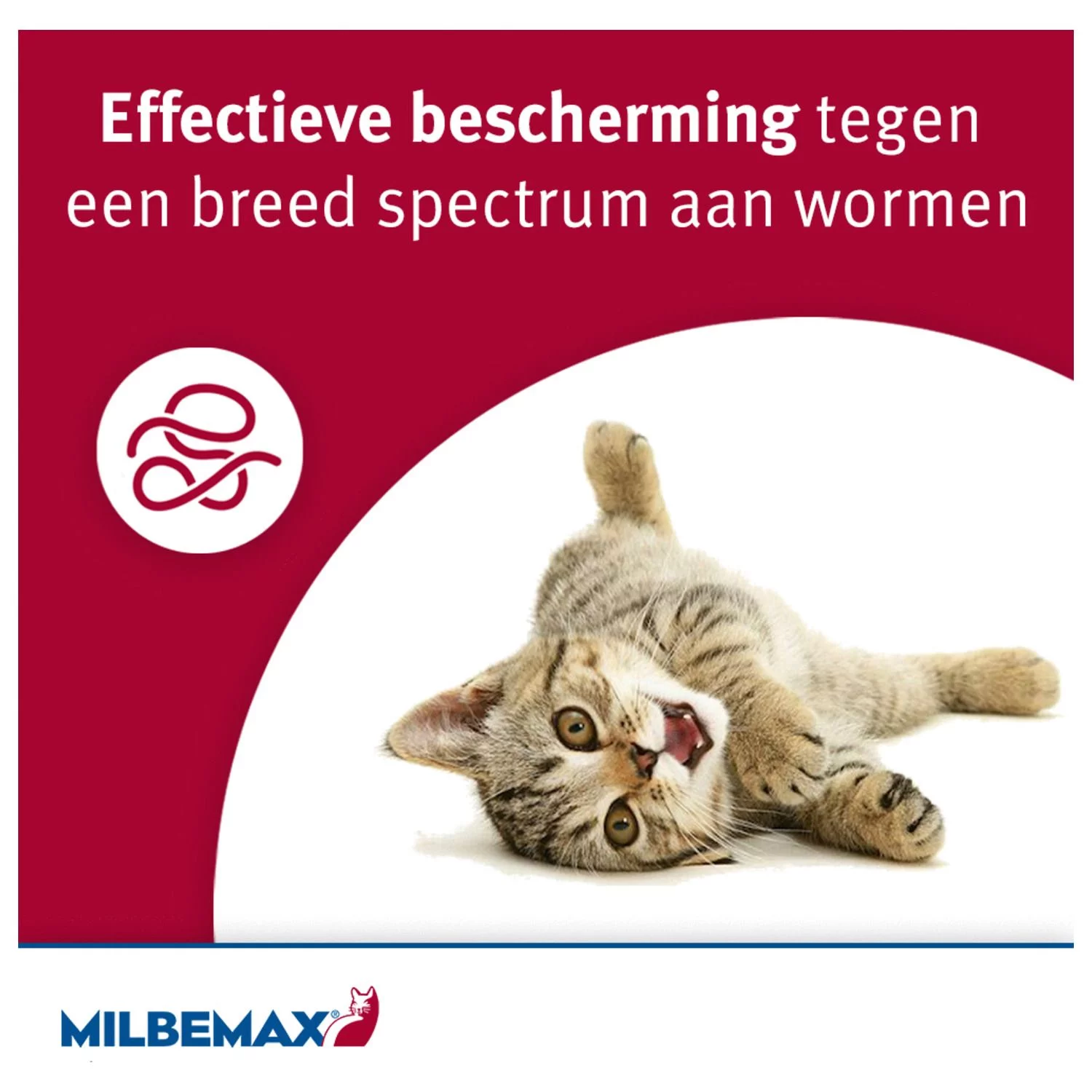 Milbemax Milbemax Kat - Anti Wormenmiddel - Image 5