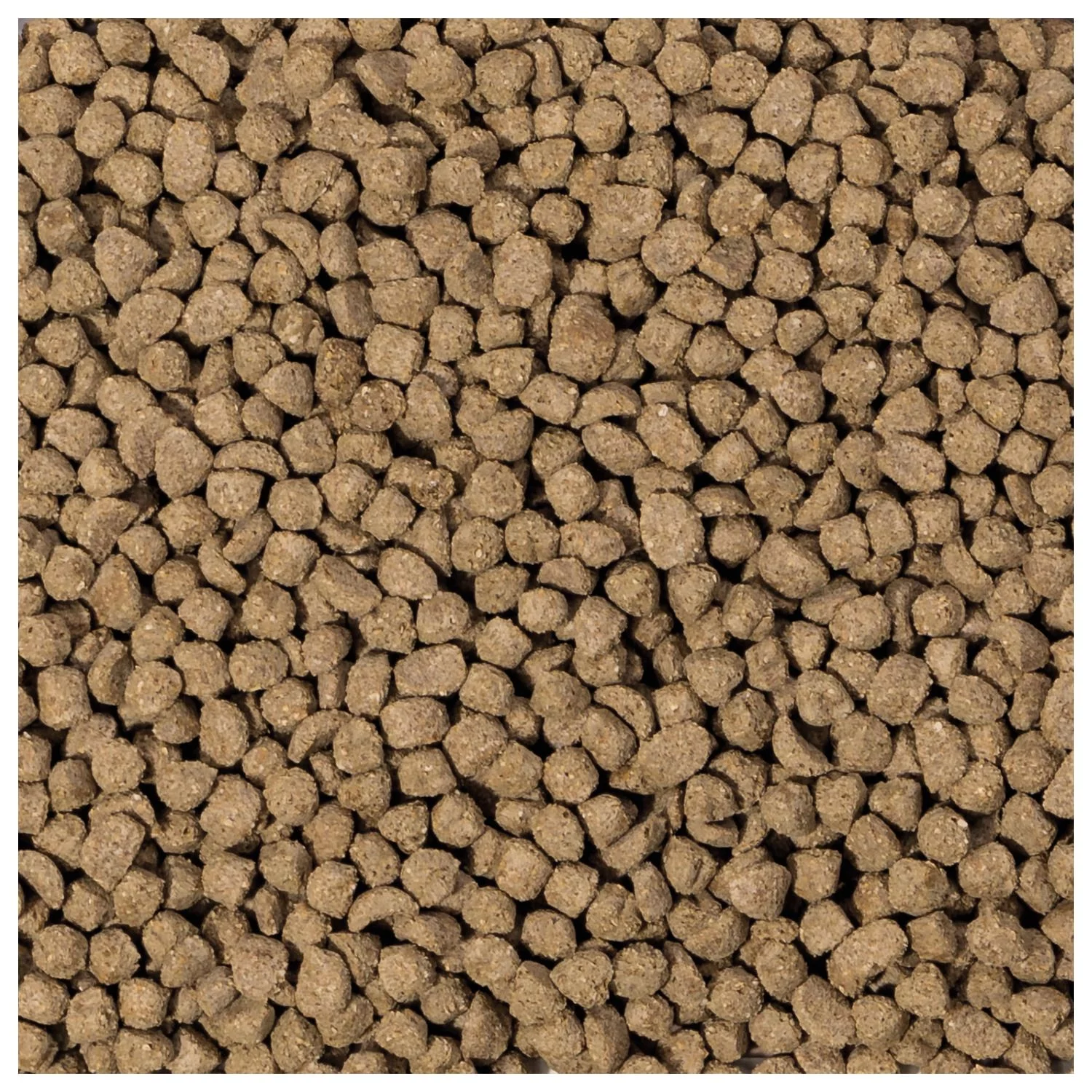 Beaphar Care Plus Konijn Junior - Konijnenvoer - Image 2