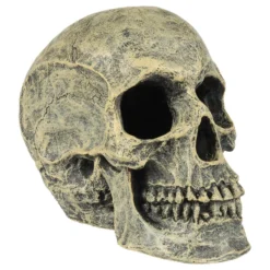 Aqua Della Doodskop - Aquarium - Ornament - 16x10.5x13.2 Cm