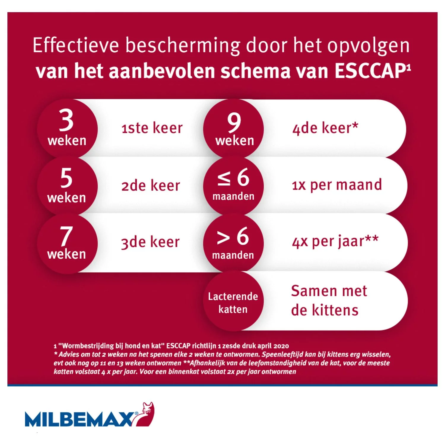 Milbemax Milbemax Kat - Anti Wormenmiddel - Image 7