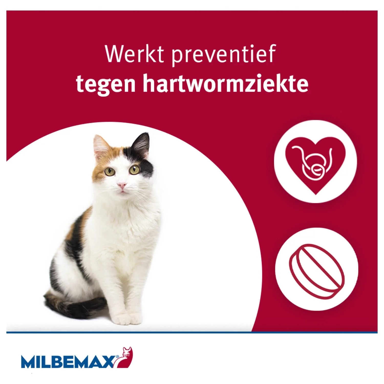 Milbemax Milbemax Kat - Anti Wormenmiddel - Image 6