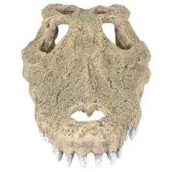 Aqua Della Krokodil Schedel - Aquarium - Ornament - 28.5x14.5x8 Cm