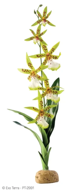 Exo Terra Rainforest Plant Spider Orchid - Kunstplanten - Per Stuk