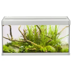 Akvastabil Family Aquarium - Aquaria - 60x30x32 Cm 54 L Grijs Wit