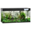 Juwel Aquarium Rio 180 Led 101x41x50 Cm - Aquaria