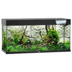 Juwel Aquarium Rio 180 Led 101x41x50 Cm - Aquaria