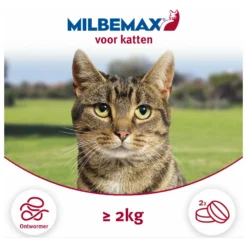 Milbemax Milbemax Kat - Anti Wormenmiddel