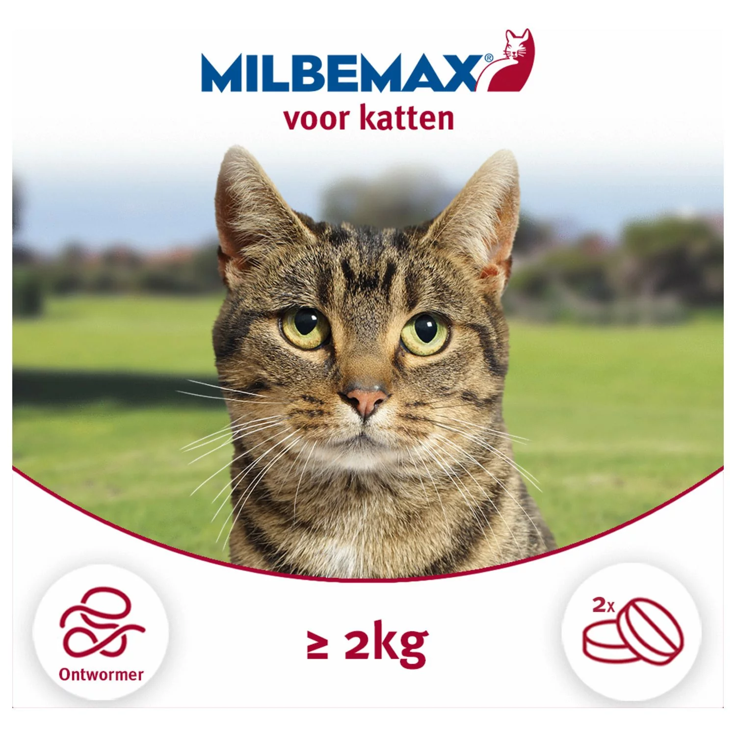 Milbemax Milbemax Kat - Anti Wormenmiddel