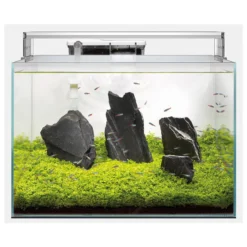 Superfish Scaper 90 - Aquaria - 60x40x38 Cm 90 L Transparant