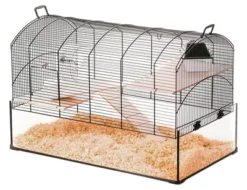 Zolux Knaagdierkooi Neo Panas Xl - Dierenverblijf - 71x41x49 Cm Zwart Transparant