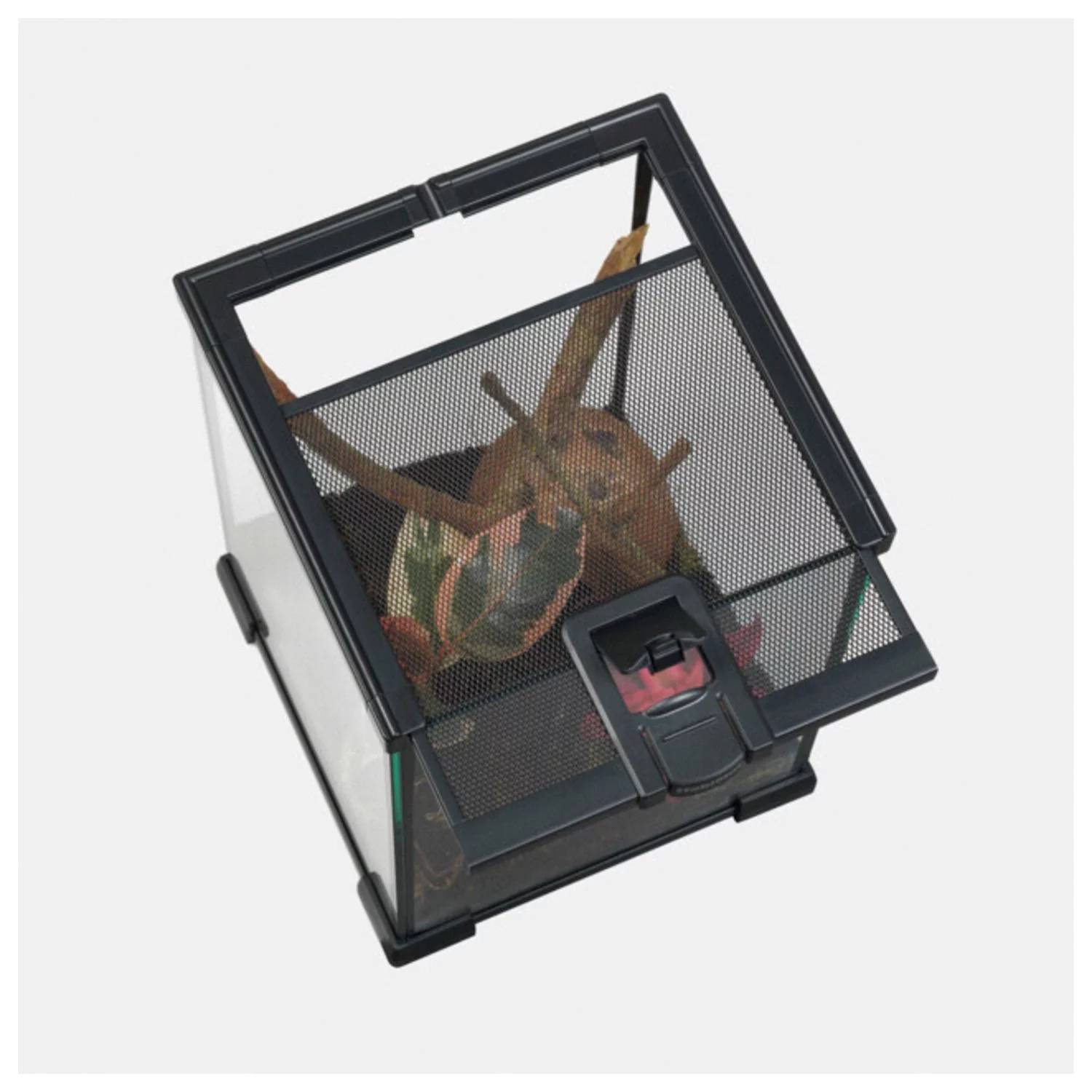 Habistat Glazen Terrarium - Terraria - 20x20x30 Cm - Image 2