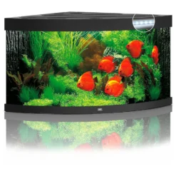 Juwel Aquarium Trigon 350 Led - Aquaria