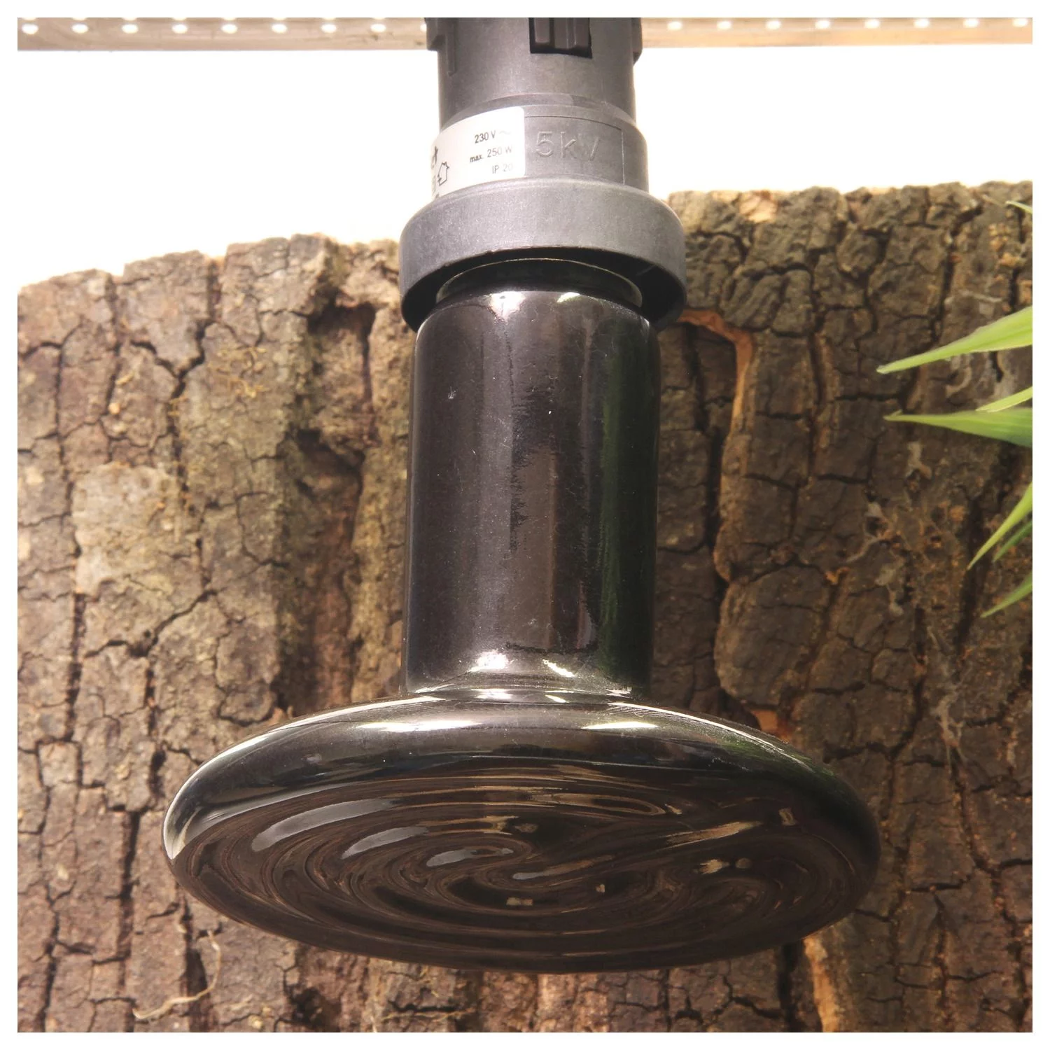 Jbl Reptilheat - Verwarming - 150 Watt - Image 2