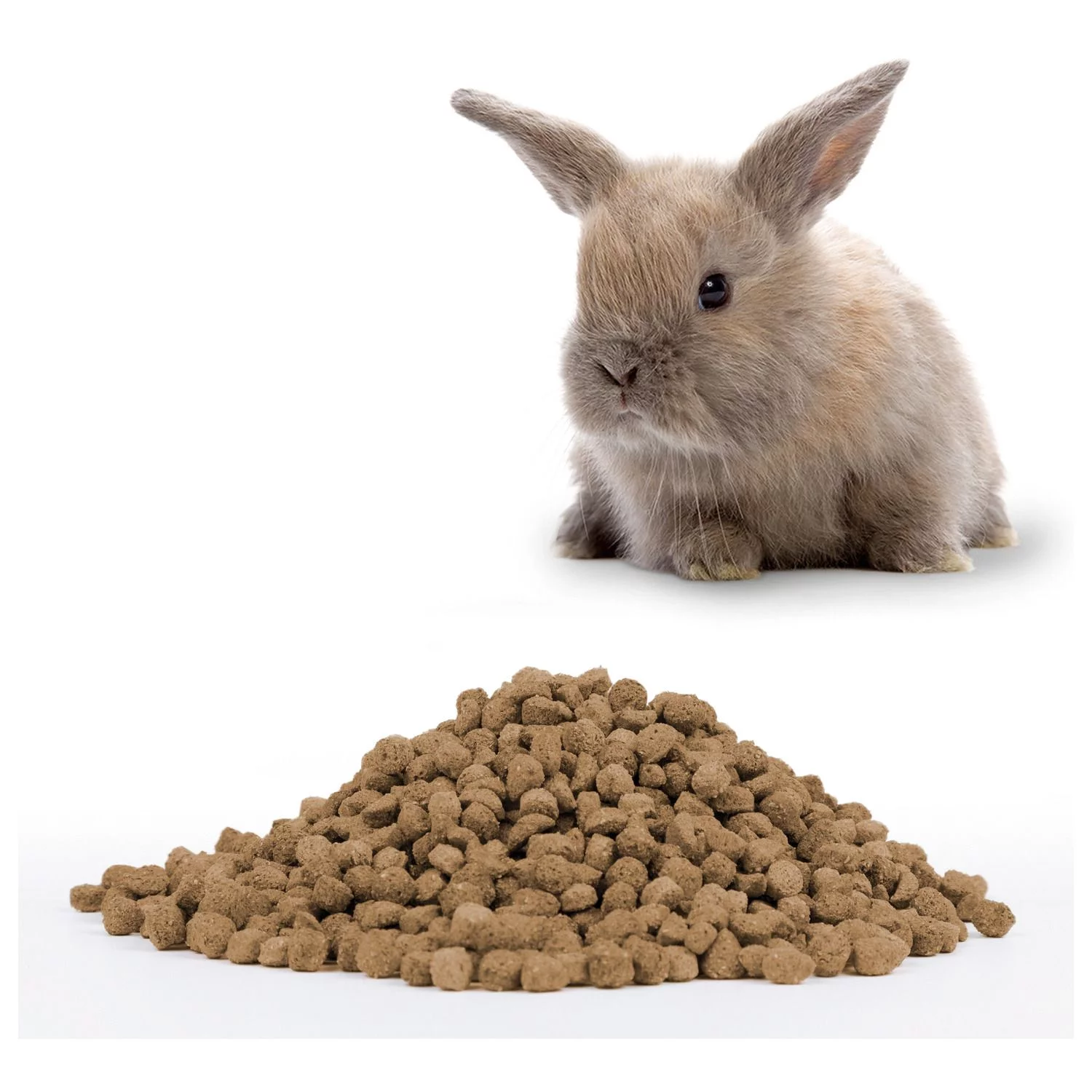 Beaphar Care Plus Konijn Junior - Konijnenvoer - Image 4