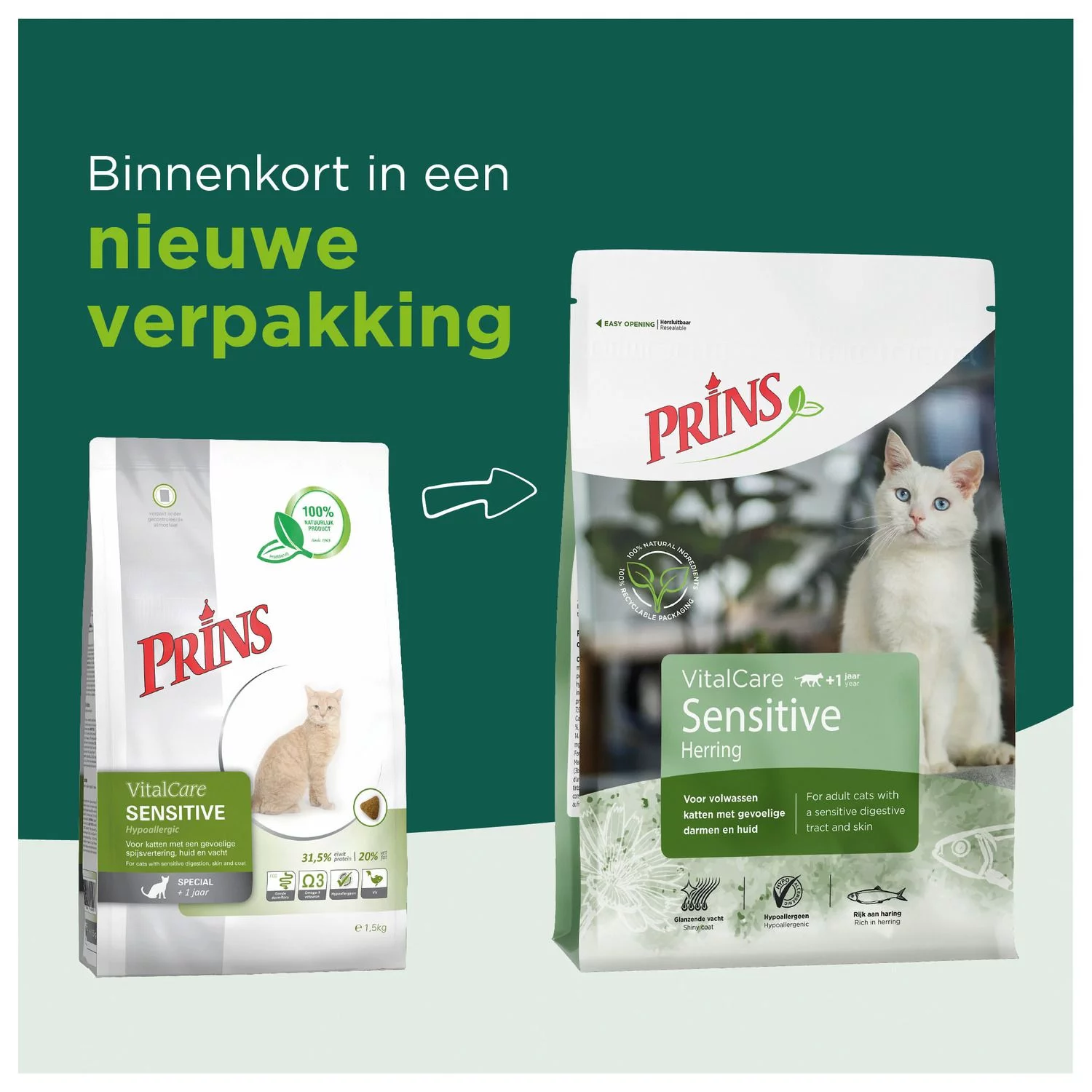 Prins Vitalcare Cat Hypo Allergeen - Kattenvoer - Image 2