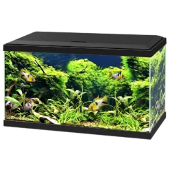 Ciano Aquarium 60 Led Cf80 60x30x34 Cm - Aquaria