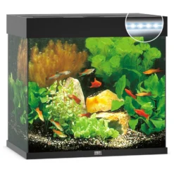 Juwel Aquarium Lido 120 Led 61x41x58 Cm - Aquaria