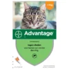 Advantage Kat 4 Pip - Anti Vlooienmiddel