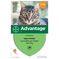 Advantage Kat 4 Pip - Anti Vlooienmiddel