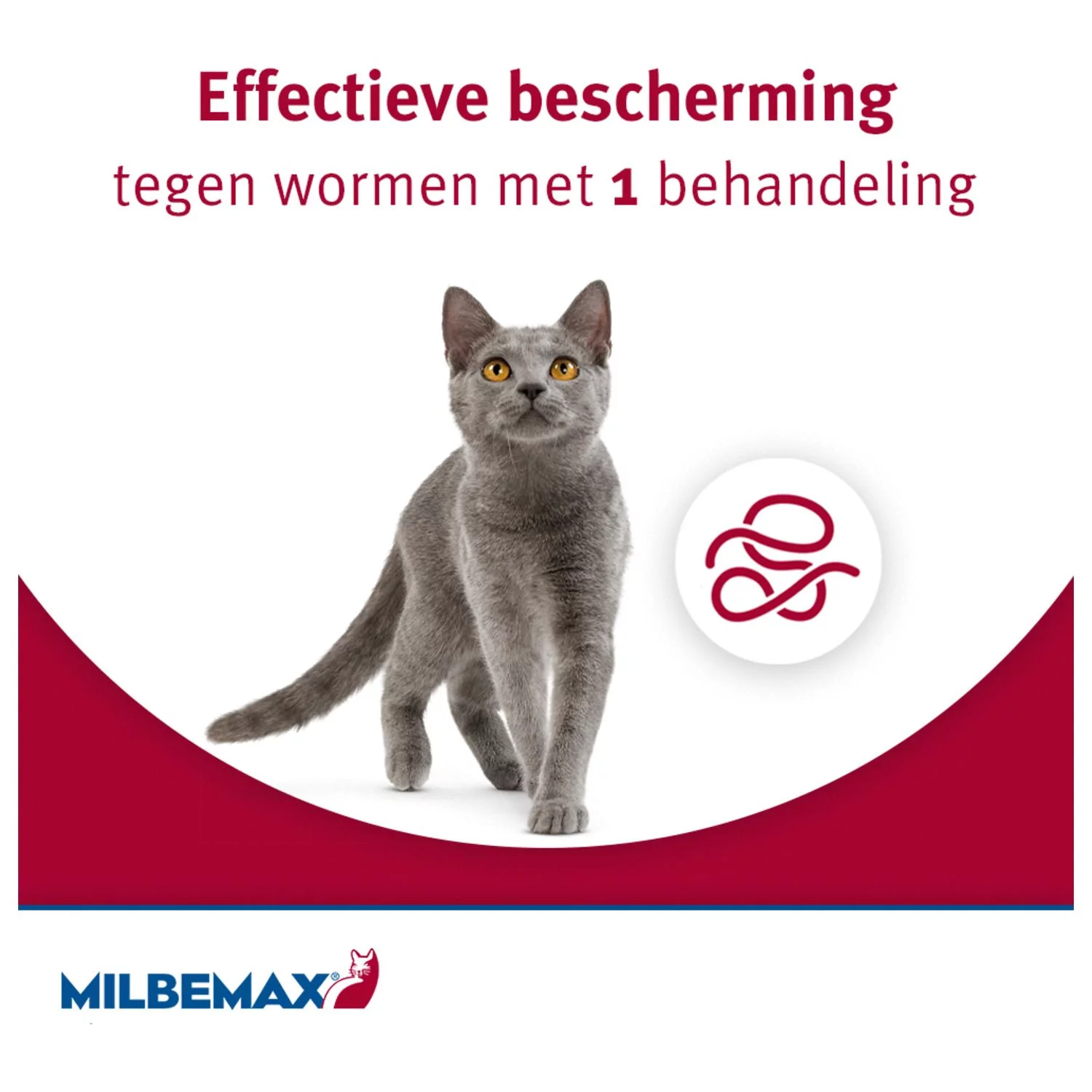 Milbemax Milbemax Kat - Anti Wormenmiddel - Image 2
