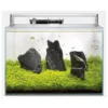 Superfish Scaper 60 - Aquaria - 50x35x35 Cm 60 L Transparant