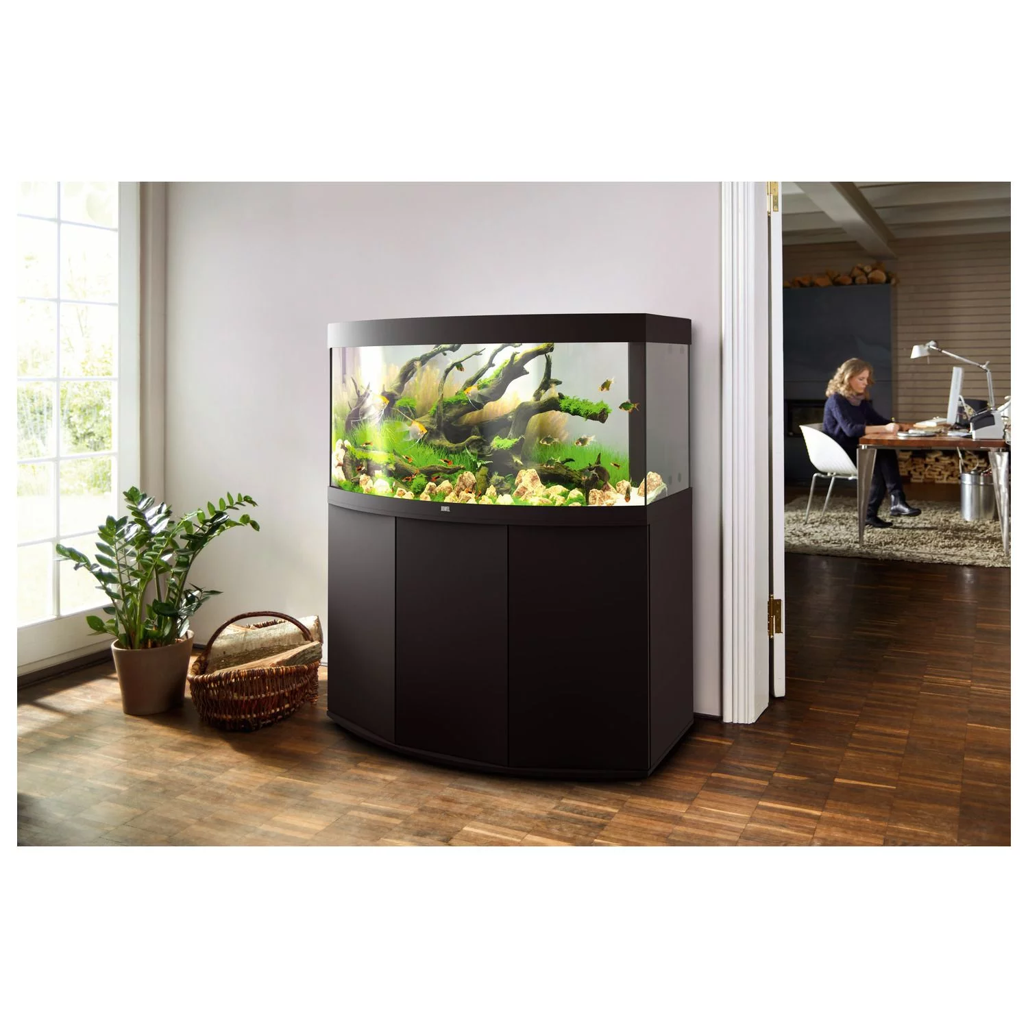 Juwel Aquarium Vision 260 Led 121x46x64 Cm - Aquaria - Image 5