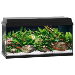 Juwel Aquarium Primo 110 - Aquaria - 81x36x45 Cm Zwart Ca. 110 L