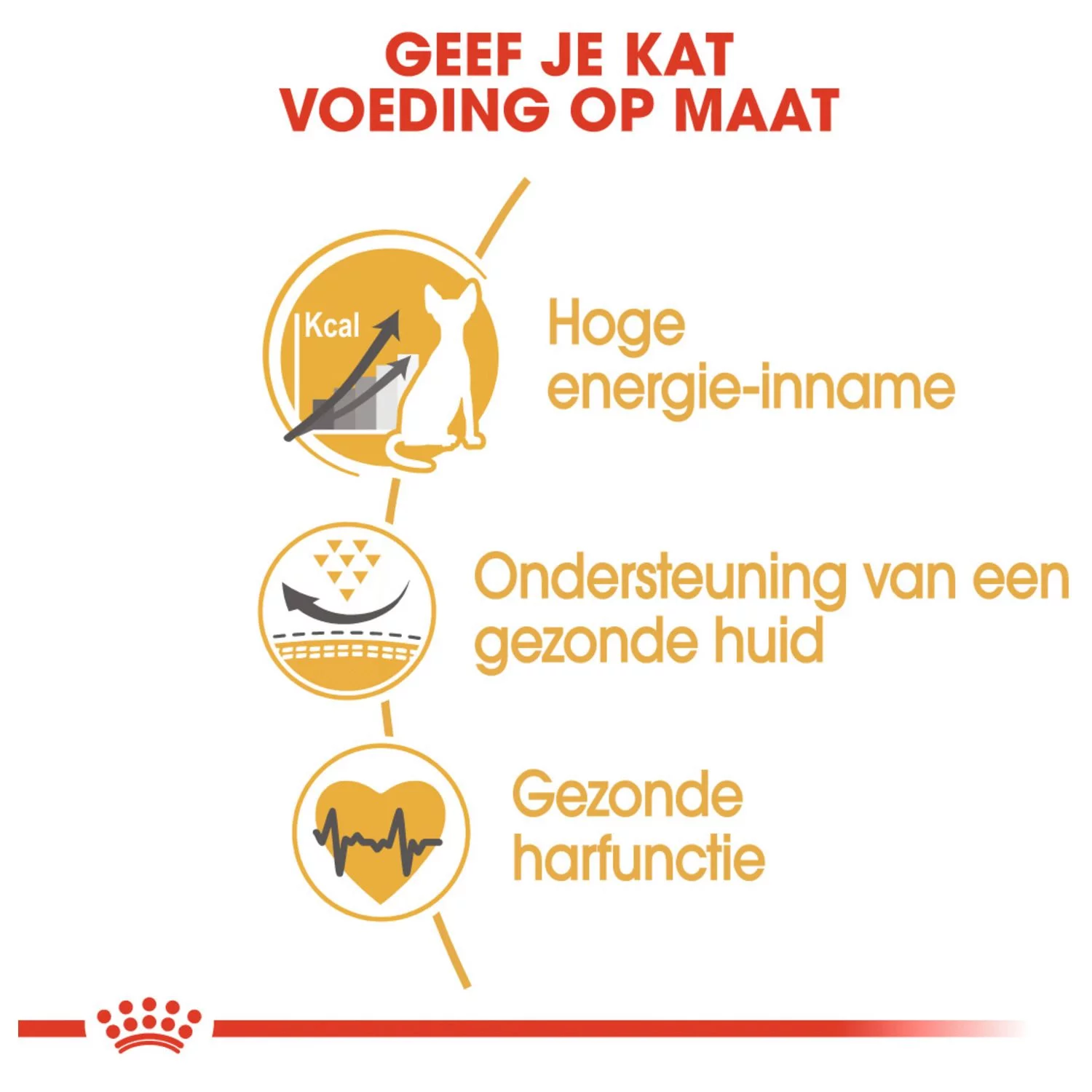 Royal Canin Sphynx Adult - Kattenvoer - Image 4