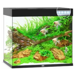 Juwel Aquarium Lido 200 Led 71x51x65 Cm - Aquaria