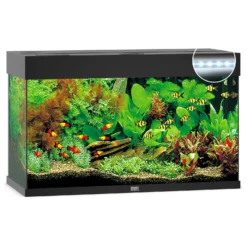 Juwel Aquarium Rio 125 Led 80x35x50 Cm - Aquaria