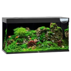 Juwel Aquarium Rio 350 Led 121x51x66 Cm - Aquaria