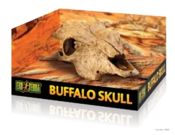 Exo Terra Schuilplaats Buffalo Skull - Ornamenten - 23x11x23 Cm