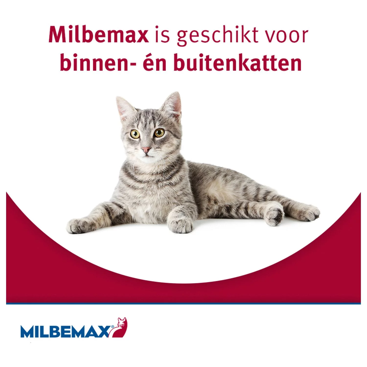 Milbemax Milbemax Kat - Anti Wormenmiddel - Image 9