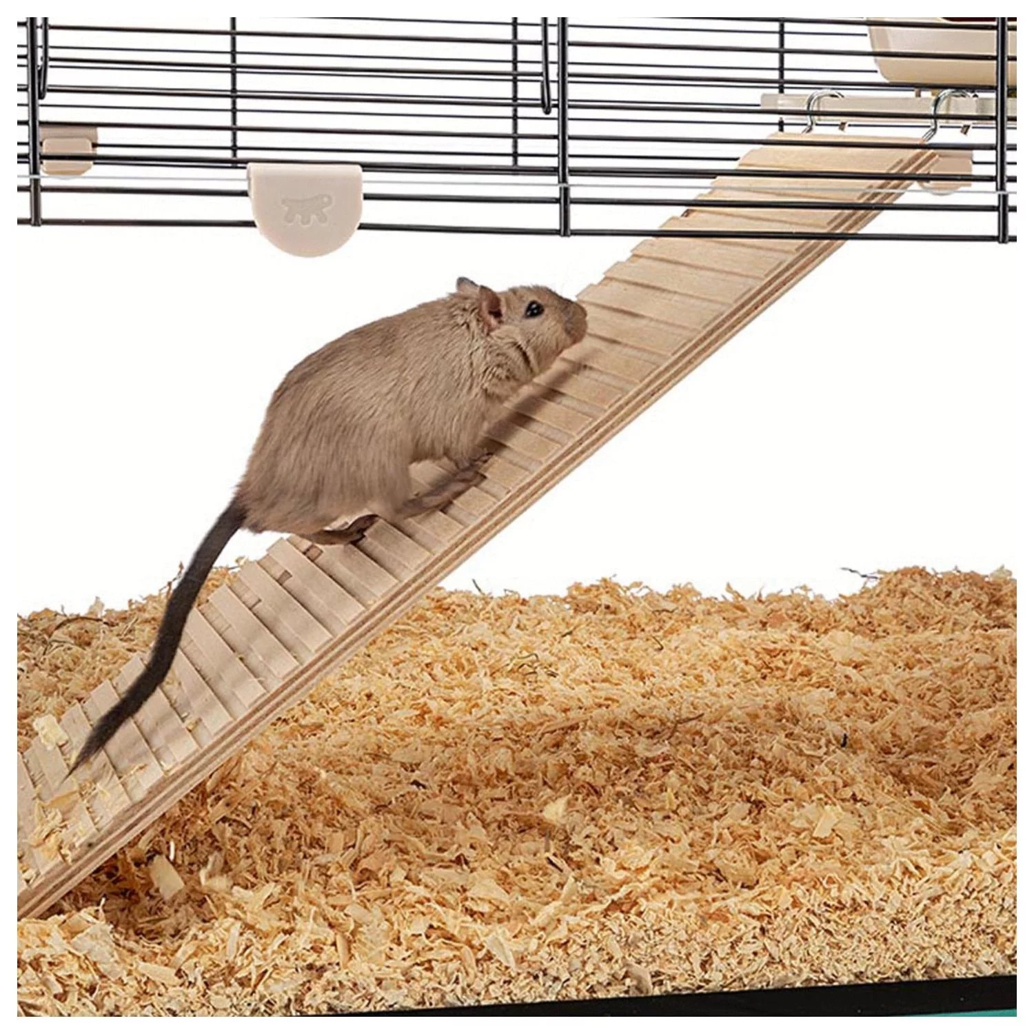 Ferplast Knaagdierenkooi Karat 100 - Dierenverblijf - 98.5x50.5x61.5 Cm - Image 4