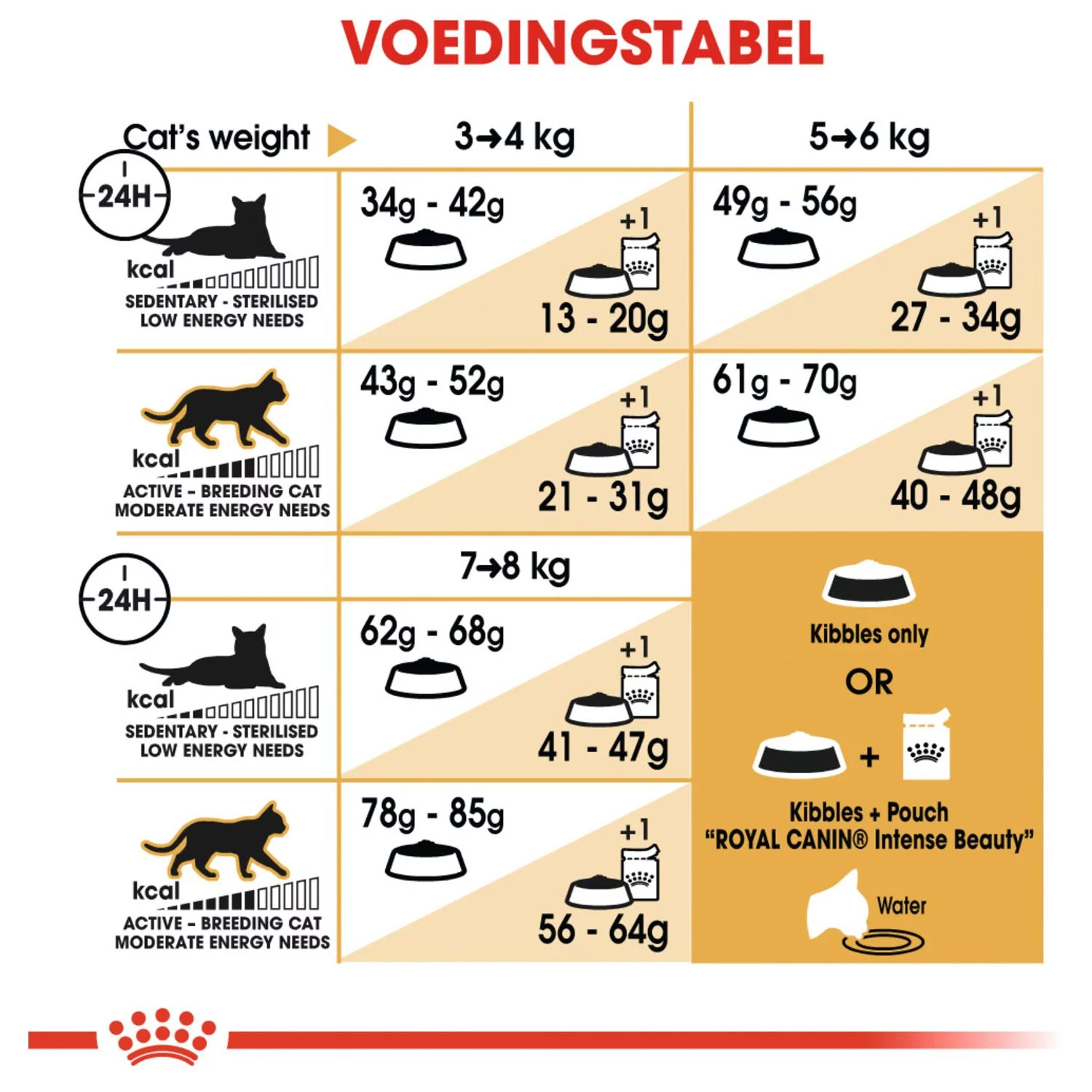 Royal Canin Ragdoll Adult - Kattenvoer - Image 7