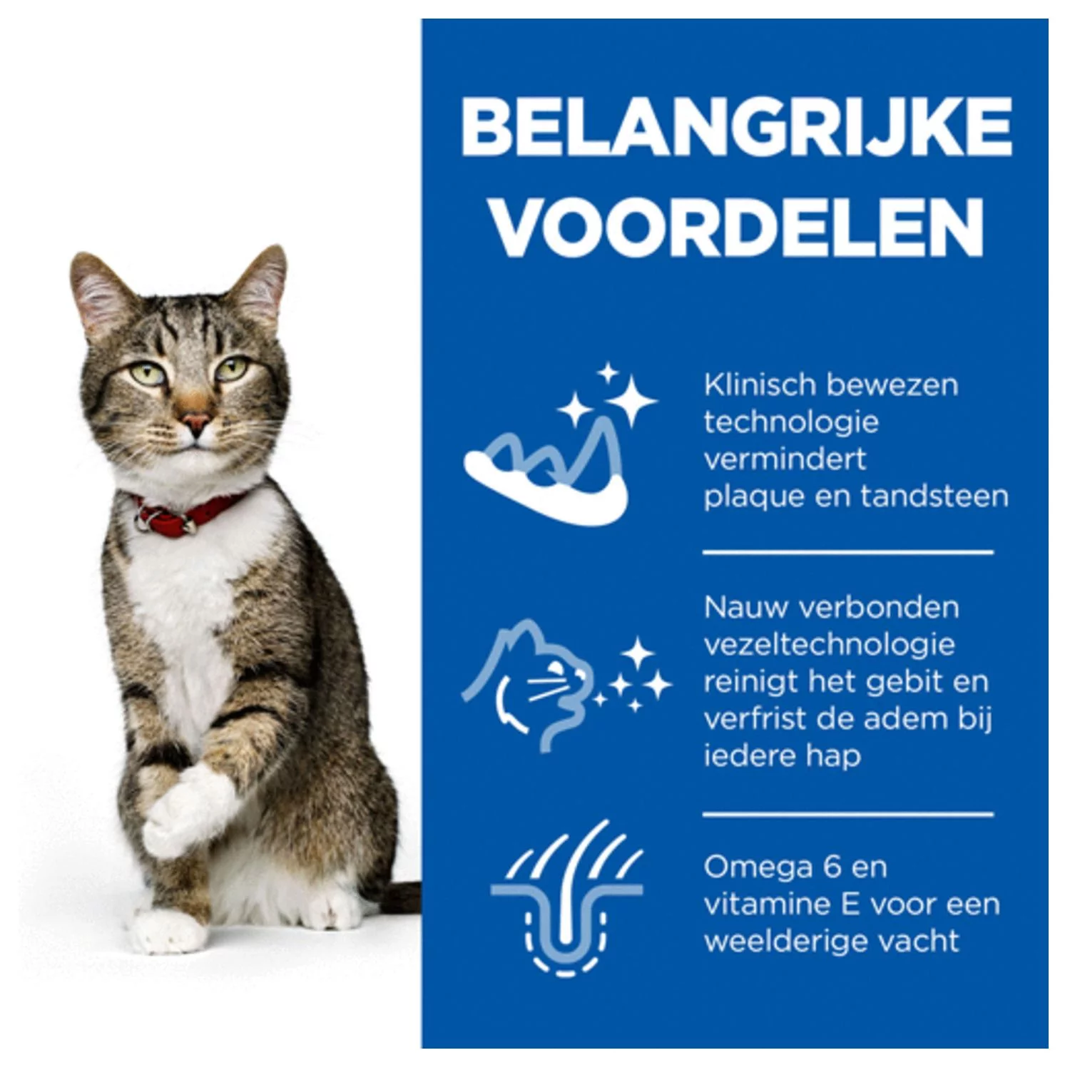 Hill's Feline Adult Oral Care Kip - Kattenvoer - Image 3