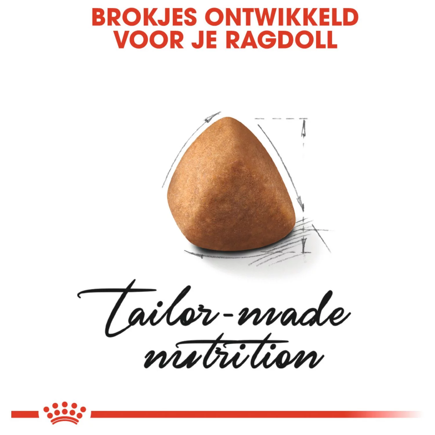 Royal Canin Ragdoll Adult - Kattenvoer - Image 3