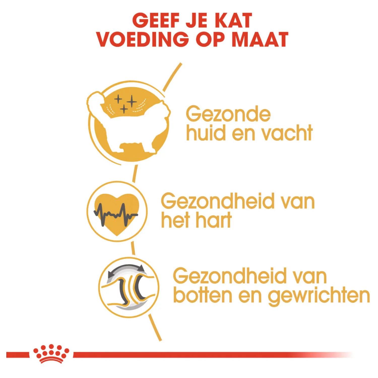 Royal Canin Ragdoll Adult - Kattenvoer - Image 4