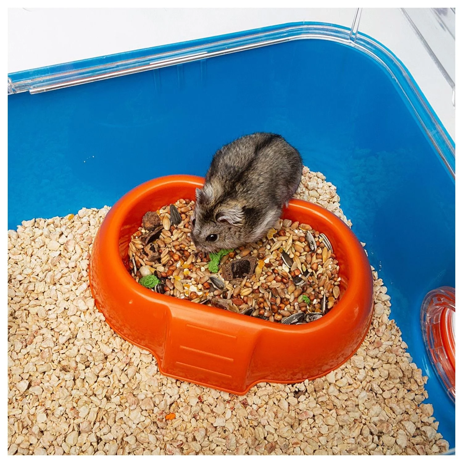 Ferplast Hamsterkooi Combi 2 - Dierenverblijf - 79.5x29.5x26x3 Cm Blauw Oranje - Image 4