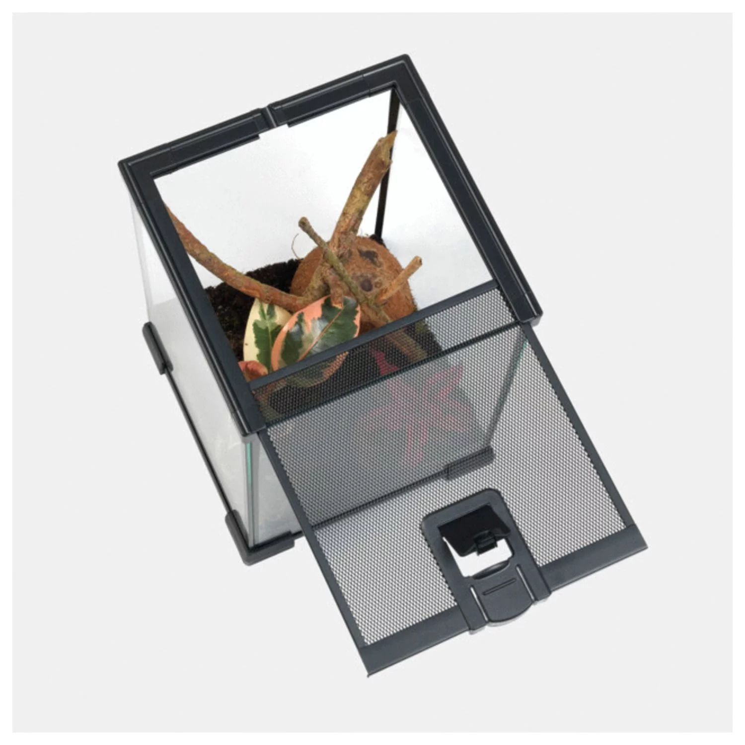 Habistat Ongewervelden Starter Kit - Terraria - 1 Set - Image 5